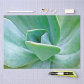 Succulent Swirl Tissuepapier (Craft)