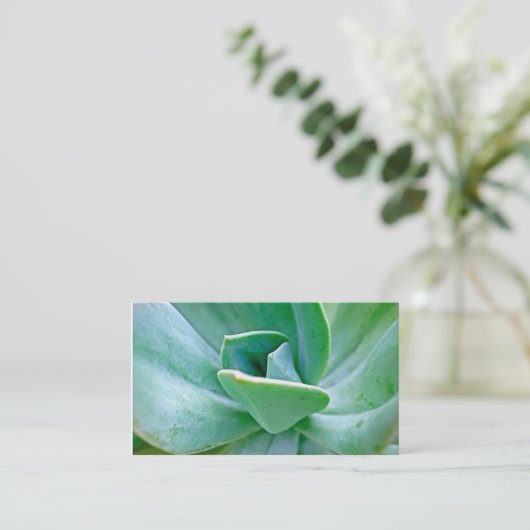 Succulent Swirl Visitekaartje (Staand voorkant)