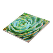 Succulent Tegeltje (Zijkant)