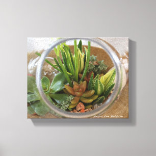 Succulent Terrarium Poster van Debra Lee Baldwin Canvas Afdruk