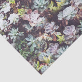 Succulent Tuin Planten Fotopatroon Tissuepapier (Detail)
