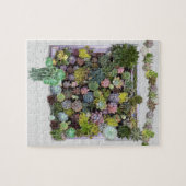 Succulent tuinontwerp legpuzzel (Horizontaal)
