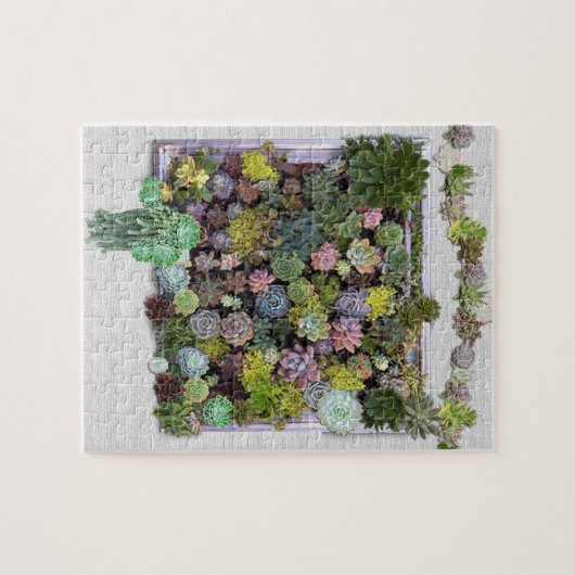 Succulent tuinontwerp legpuzzel (Horizontaal)