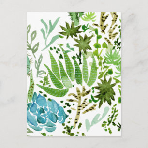 Succulent veld I Briefkaart