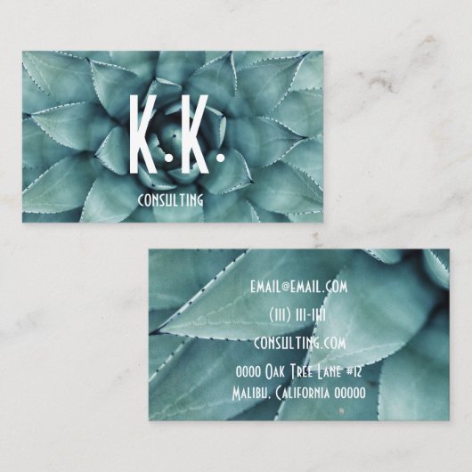 succulent visitekaartje (Voorkant / Achterkant)