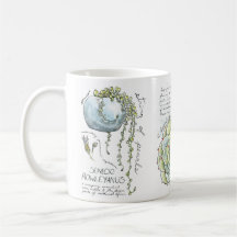 Succulent Waterverf Illustratie koffie Mok