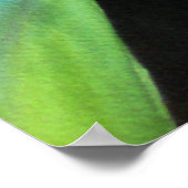 Succulent waterverf schilderen botanische plant ku poster (Hoek)