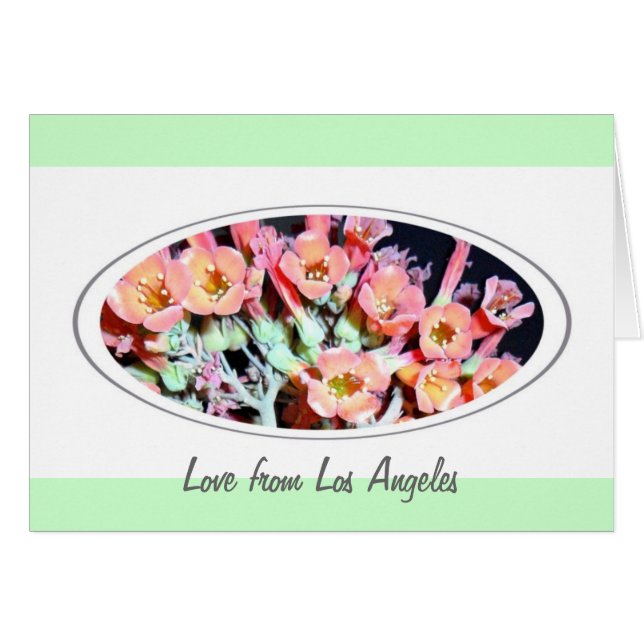 Succulent "Weed" (Voorkant Horizontaal)