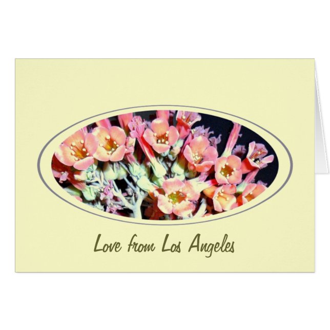 Succulent "Weed" (Voorkant Horizontaal)