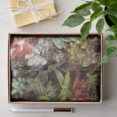 Succulent weefselpapier tissuepapier (Geschenk)