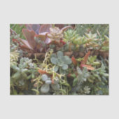 Succulent weefselpapier tissuepapier (Voorkant)