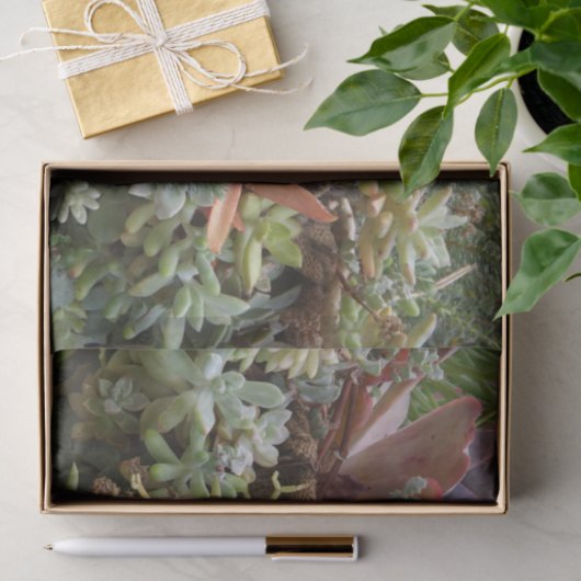 Succulent weefselpapier tissuepapier (Geschenk)