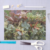 Succulent weefselpapier tissuepapier (Craft)