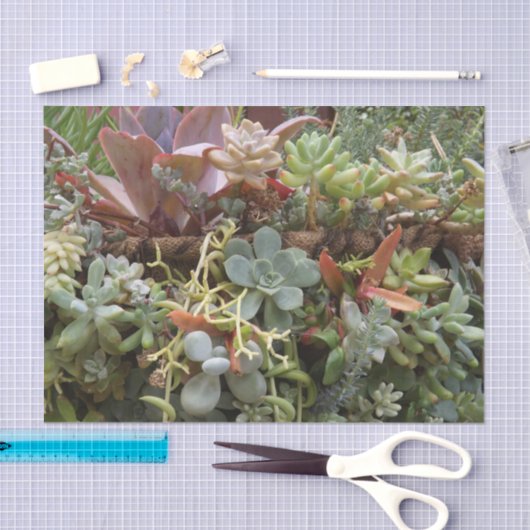 Succulent weefselpapier tissuepapier (Craft)
