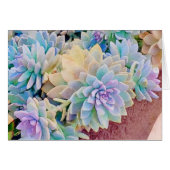 Succulent wenskaart (Voorkant Horizontaal)