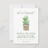 Succulent Zebra Plant Zuidwest Pot Nieuw Adres Aankondiging (Voorkant)