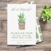 Succulent Zebra Plant Zuidwest Pot Nieuw Adres Aankondiging