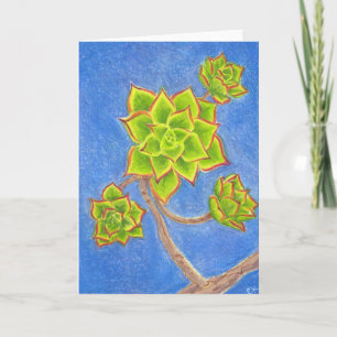 Succulente 1 kaart