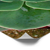 Succulente afdrukken poster (Hoek)