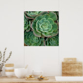 Succulente afdrukken poster (Keuken)