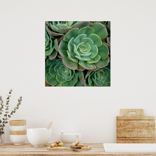 Succulente afdrukken poster (Keuken)