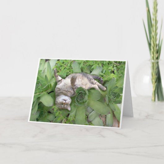 Succulente Backscratch Kaart (Voorkant)