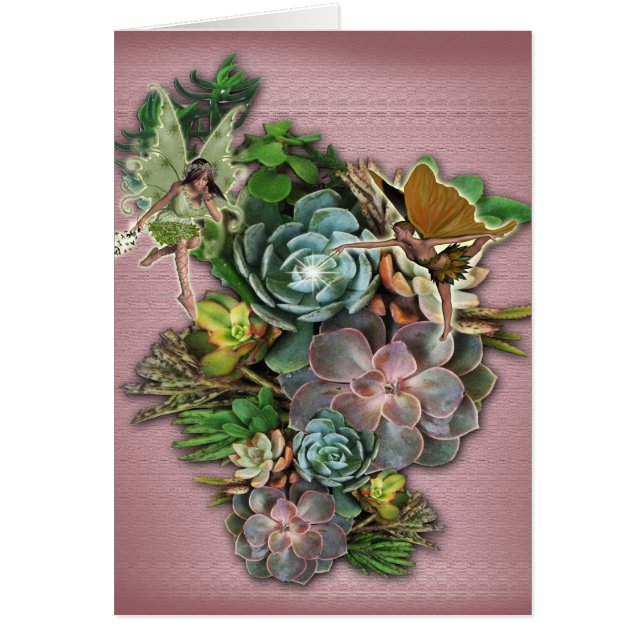 Succulente beeldschermen (Voorkant)