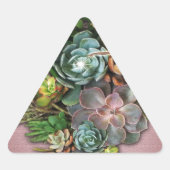 Succulente beeldschermen sticker (Voorkant)