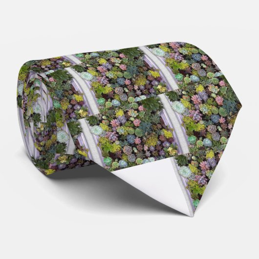 Succulente beeldschermen stropdas (Opgerold)