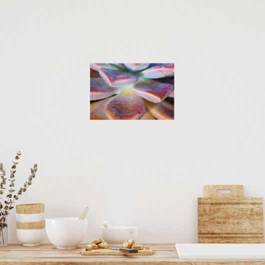 Succulente bladeren poster (Keuken)