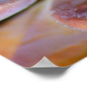 Succulente bladeren poster (Hoek)