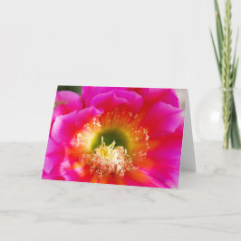 succulente bloemenmacro kaart