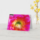 succulente bloemenmacro kaart (Gele Bloem)