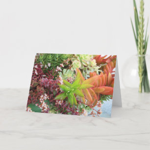 Succulente boekenkaart kaart