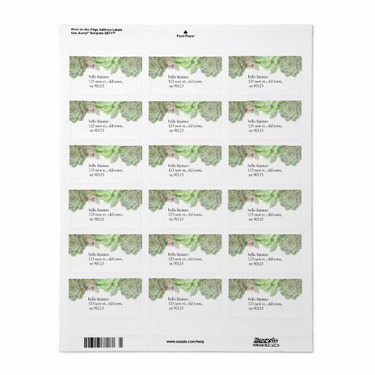 Succulente bruiloft Adresetiketten Etiket (Full Sheet)