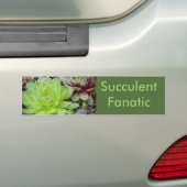 Succulente Bumpersticker (Op auto)