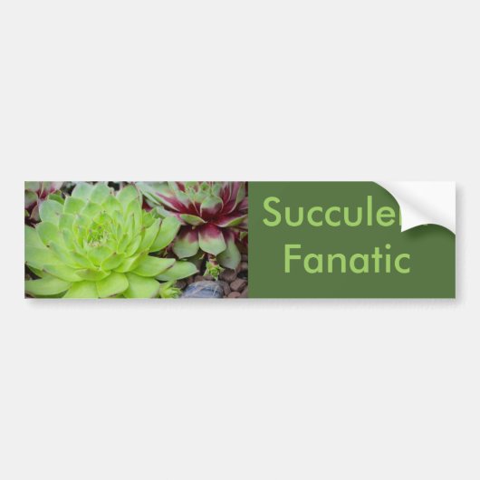 Succulente Bumpersticker (Voorkant)
