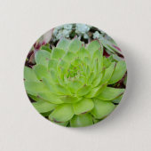 Succulente Button (Voorkant)
