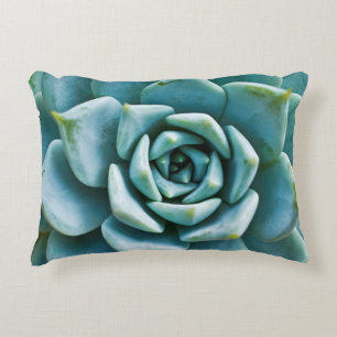 Succulente Close-up Accent Kussen