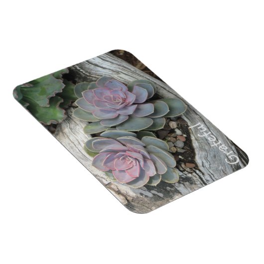 Succulente dankbaarheid magneet (Rechterzijde)