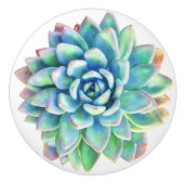 succulente decoratieve knop (Voorkant)