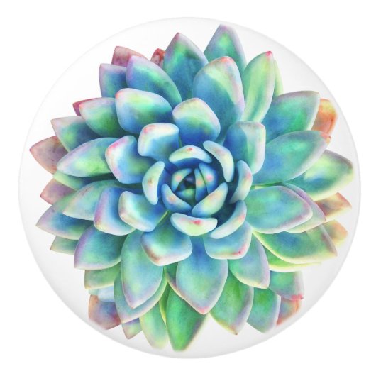 succulente decoratieve knop (Voorkant)