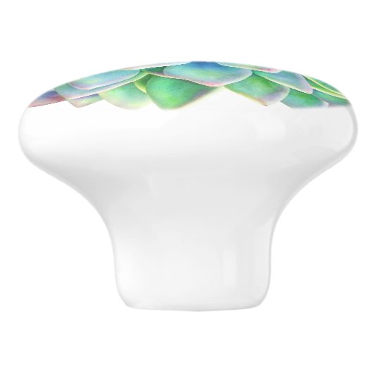 succulente decoratieve knop (Zijkant)