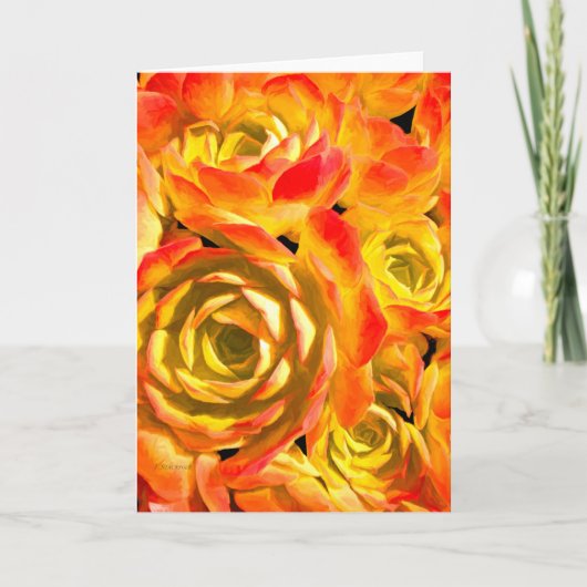 Succulente Echeveria-Plant Kaart (Voorkant)