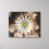 Succulente foto van Debra Lee Baldwin Canvas Afdruk (Voorkant)