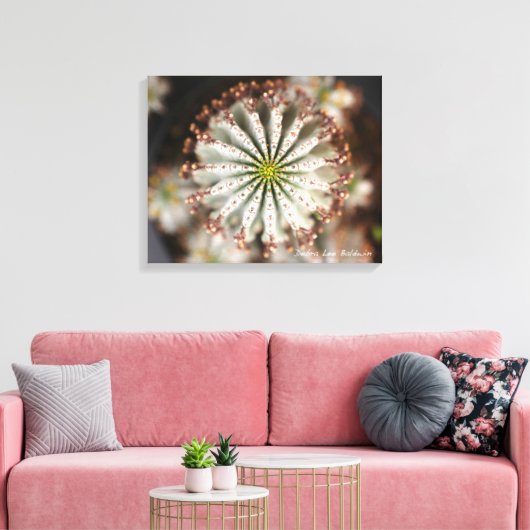 Succulente foto van Debra Lee Baldwin Canvas Afdruk (Insitu (Woonkamer))