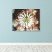 Succulente foto van Debra Lee Baldwin Canvas Afdruk (Insitu (Houten vloer))