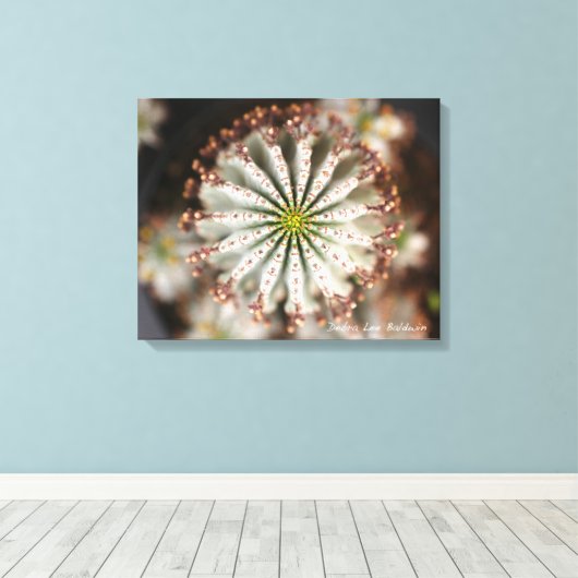 Succulente foto van Debra Lee Baldwin Canvas Afdruk (Insitu (Houten vloer))