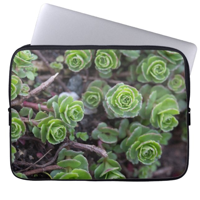 Succulente fotografie laptop sleeve (Voorkant)