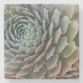 Succulente fractaal stenen onderzetter